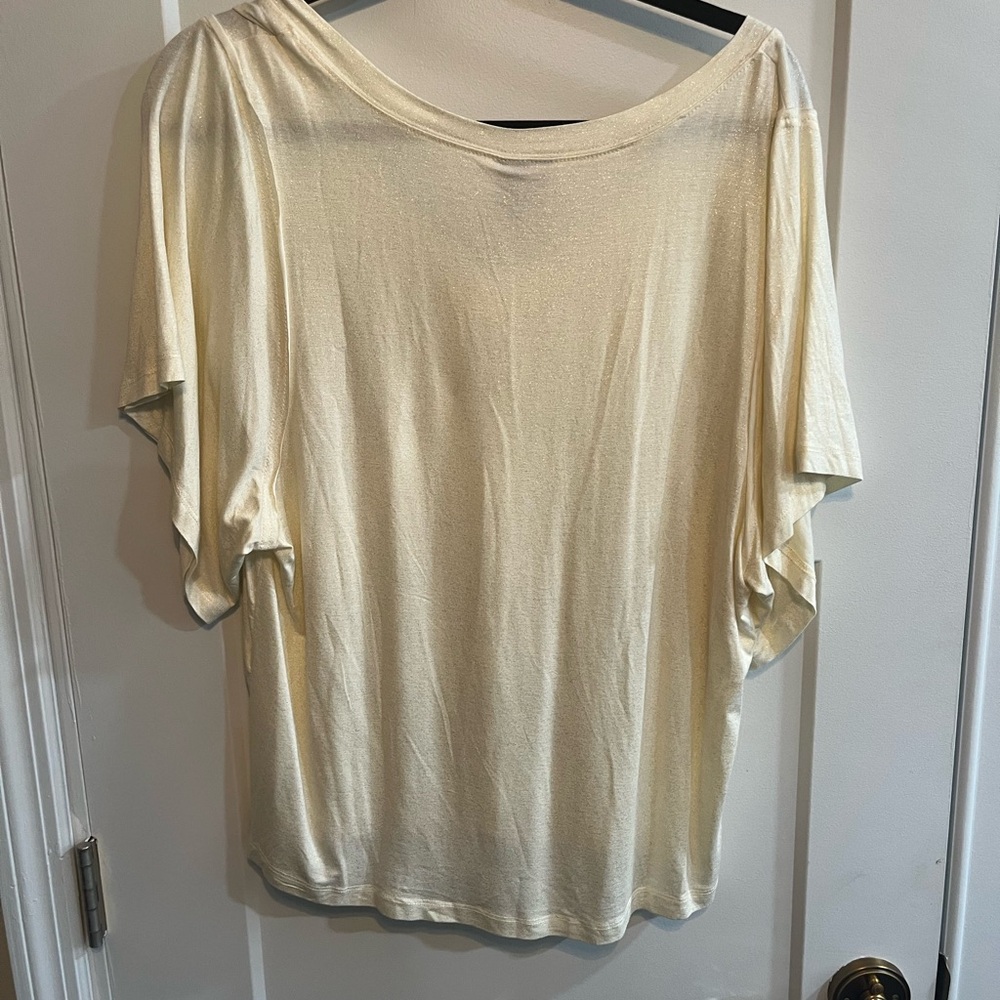 Oak & Trellis Cream Glitter V-Neck Short Sleeve Top - Picture 3 of 4